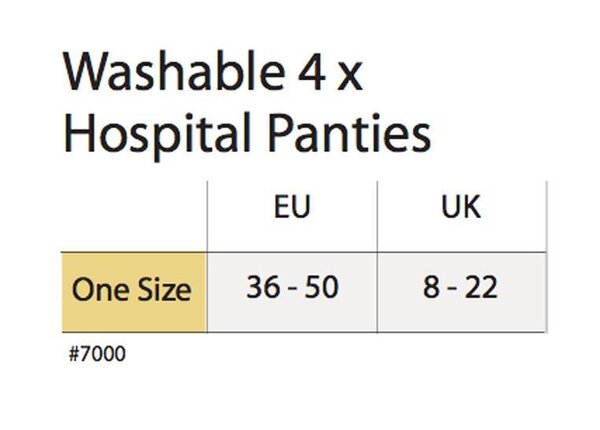 Carriwell Hospital Panties 4pcs - Carriwell