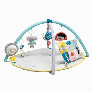 Taf Toys All around me gym - Fehn