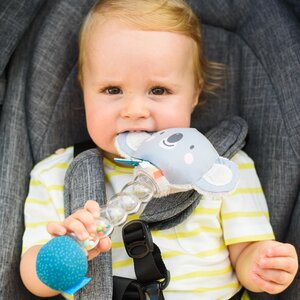 Taf Toys kõristi Koaala  - Taf Toys