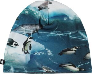 Molo hat Ned  Antarctica  - Molo