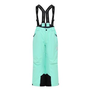 Legowear suusapüksid Lwparaw 702 - Legowear