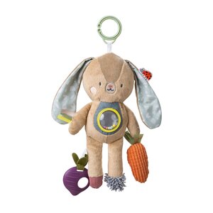 Taf Toys lavinamasis žaislas Jenny - Taf Toys