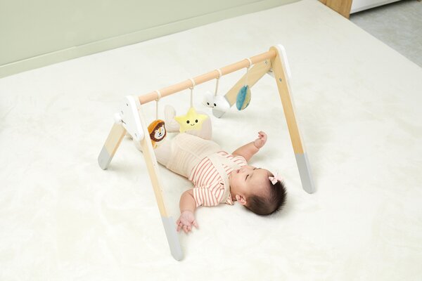 PolarB Baby Play Gym - PolarB