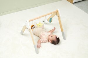 PolarB Baby Play Gym - PolarB
