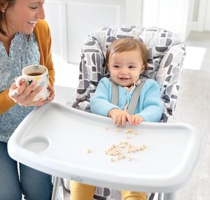 Joie Snacker 2in1 highchair Logan - Joie