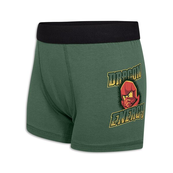 Legowear aluspüksid 3-pakk, Lwagan 107 - Legowear