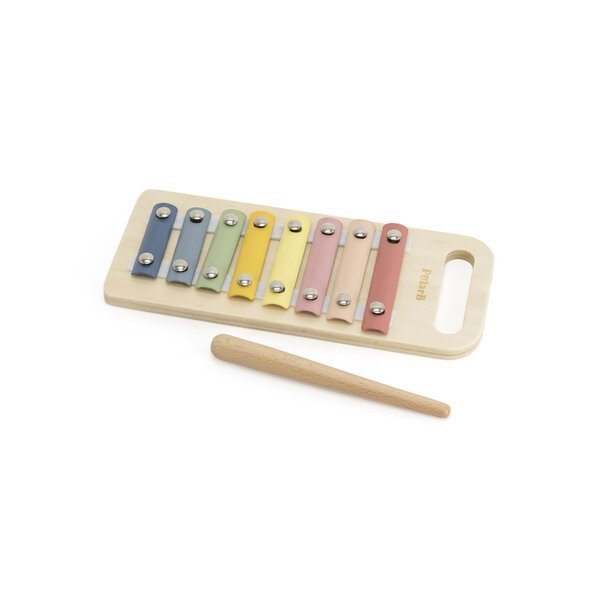 PolarB puidust mänguasjade komplekt 18-24 kuud - PolarB