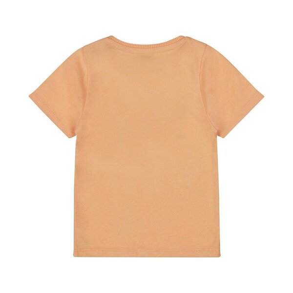 Dirkje T-shirt - Dirkje