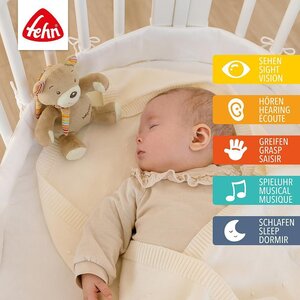 Fehn muusikaga mänguasi Teddy - Fehn
