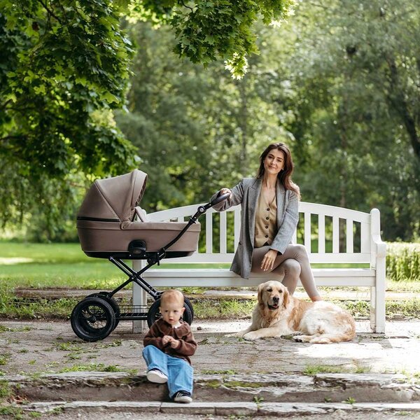 Tinynord ACTIVE Seat and Carrycot - Tinynord