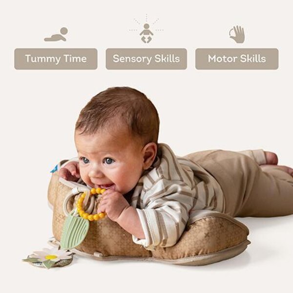 Taf Toys tummy time pillow Bear - Taf Toys