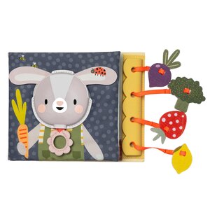 Taf Toys Baby 1st Busy Book - Taf Toys